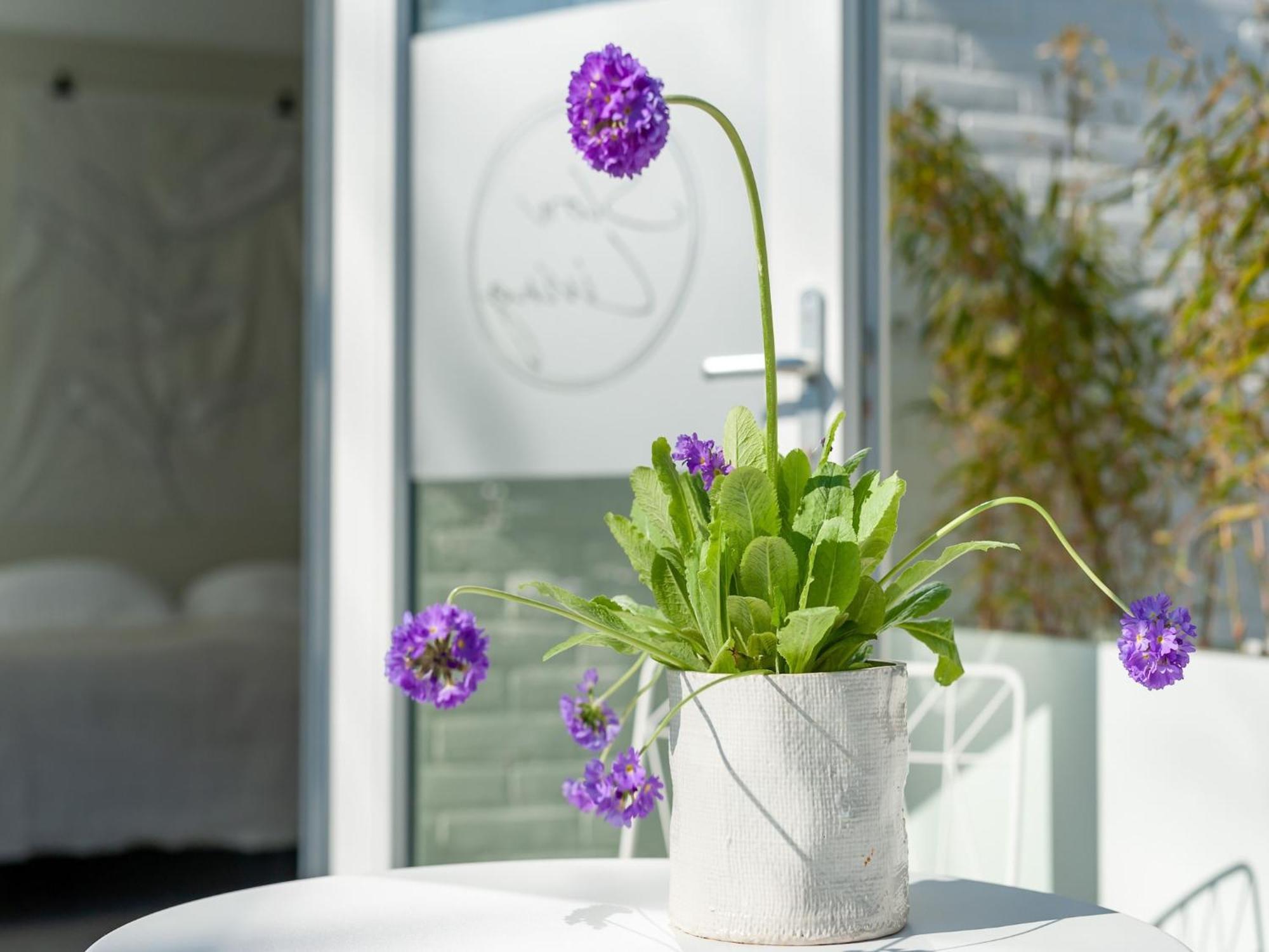 Pleasaing Holiday Home In Oostkapelle Near Centre Exterior foto